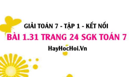 Giải bài 1.31 trang 24 Toán 7 Tập 1 SGK Kết nối tri thức